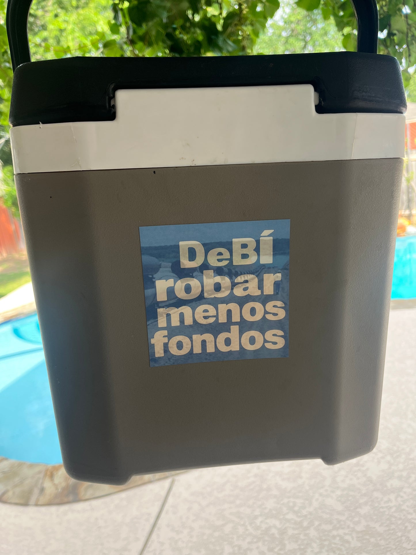 Debí robar menos fondos sticker